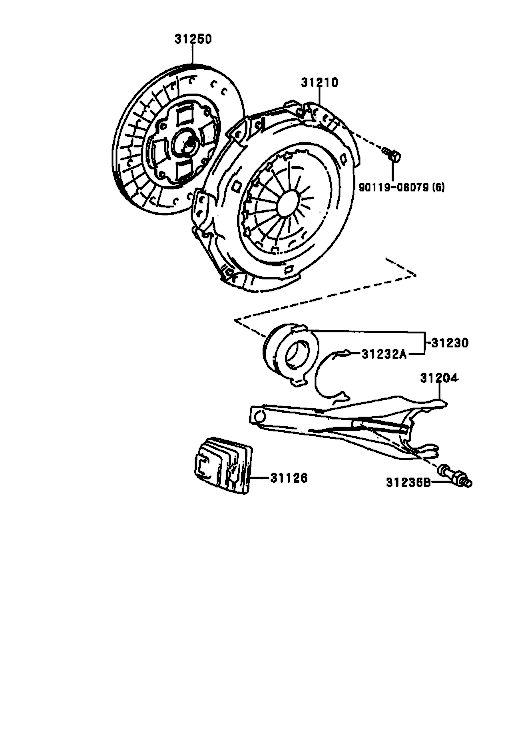 دیسک و صفحه کمری گرند