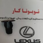 خار شلگیر
