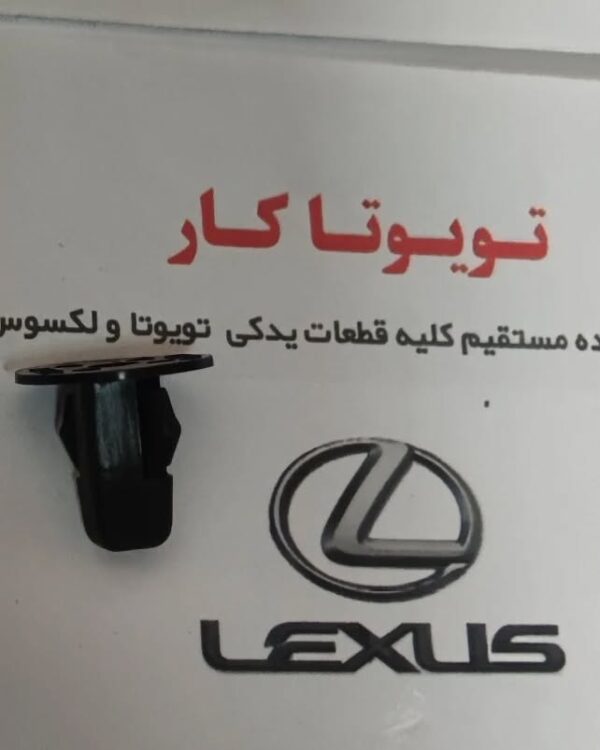 خار شلگیر