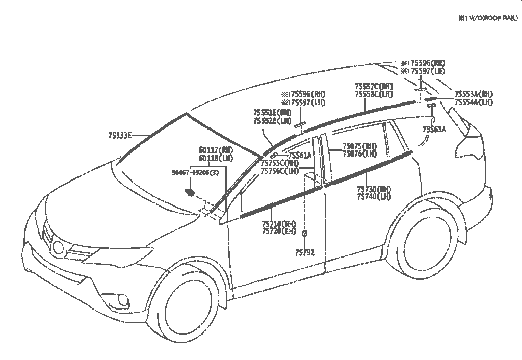 زه اطراف راوفور